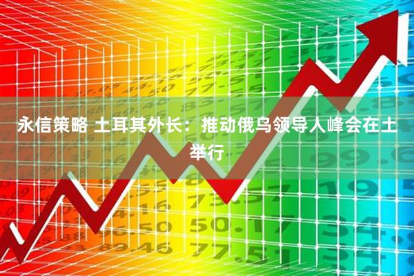 永信策略 土耳其外长：推动俄乌领导人峰会在土举行