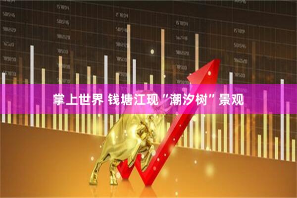 掌上世界 钱塘江现“潮汐树”景观